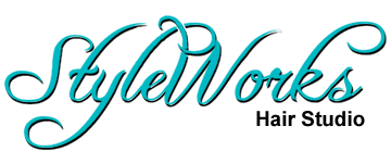 StyleWorks logo Header